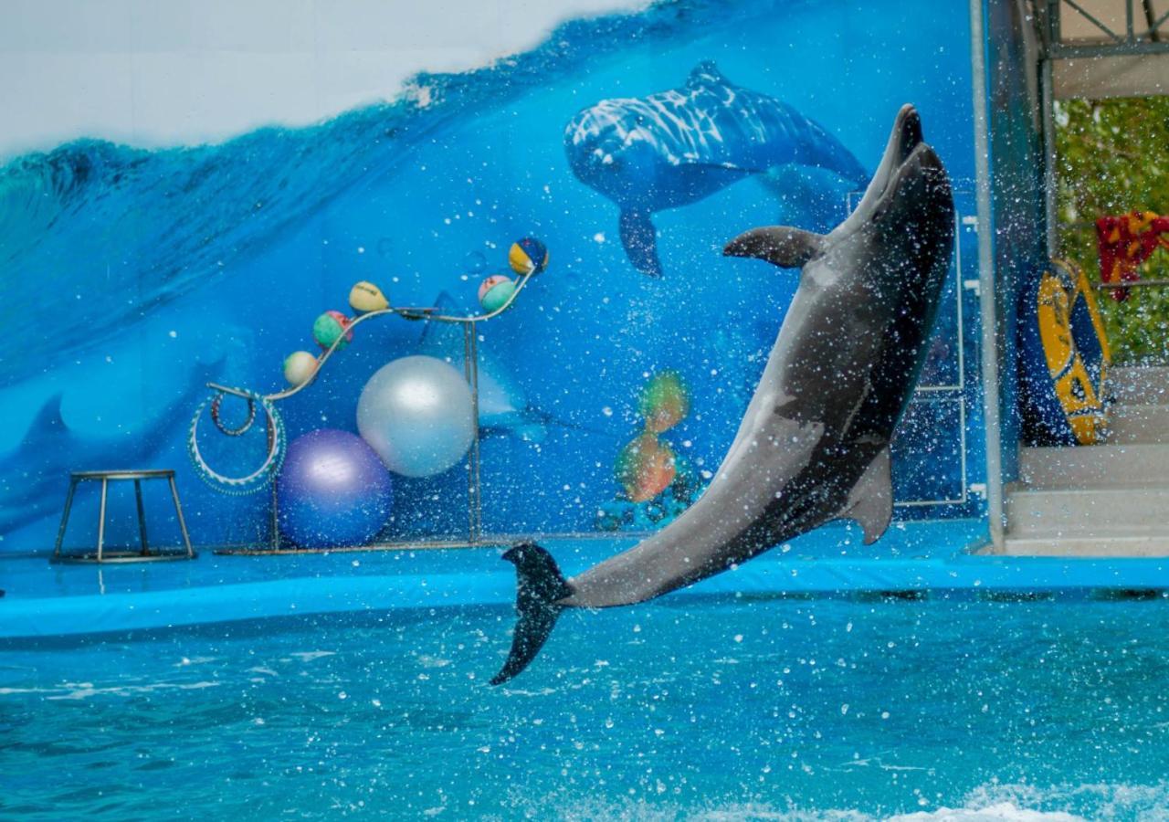 โมเวนพิคโฮเต็ล อพาร์ตเมนต์ อัล มัมซาร์ ดูไบ Aparthotel ภายนอก รูปภาพ Dolphin show at the park